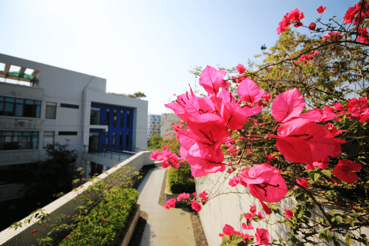 Z6·尊龙凯时「中国区」官方网站